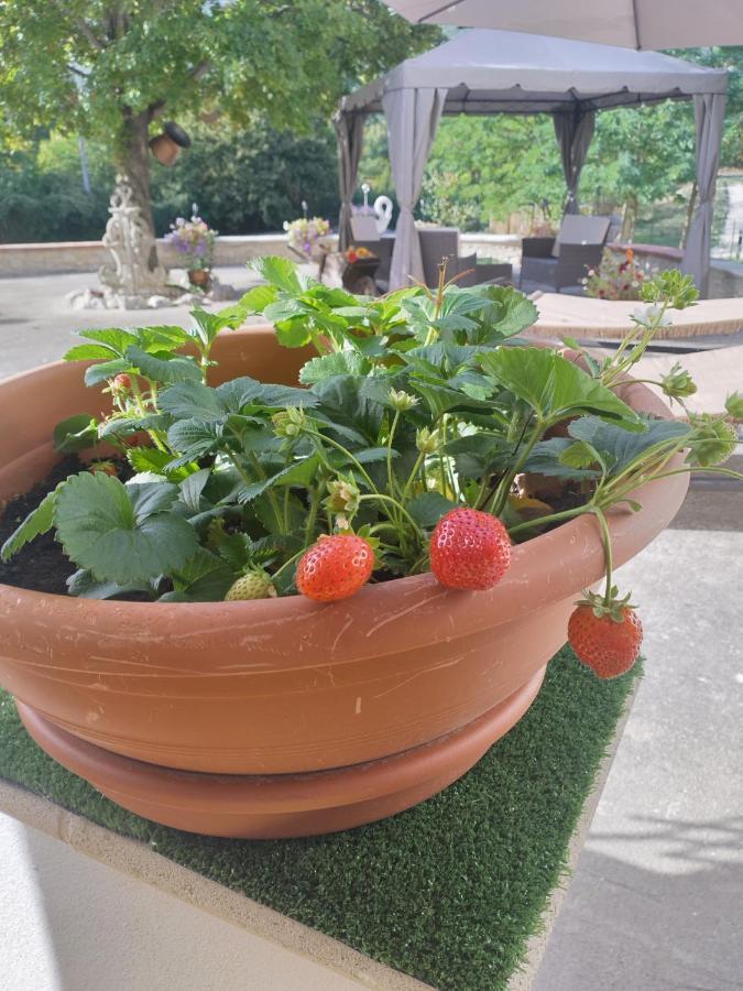 "Il Miglio" Country House Pettorano sul Gizio Buitenkant foto